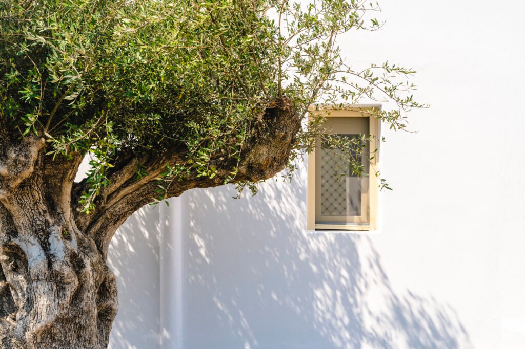 Casa_De_Lupo_Mykonos_34