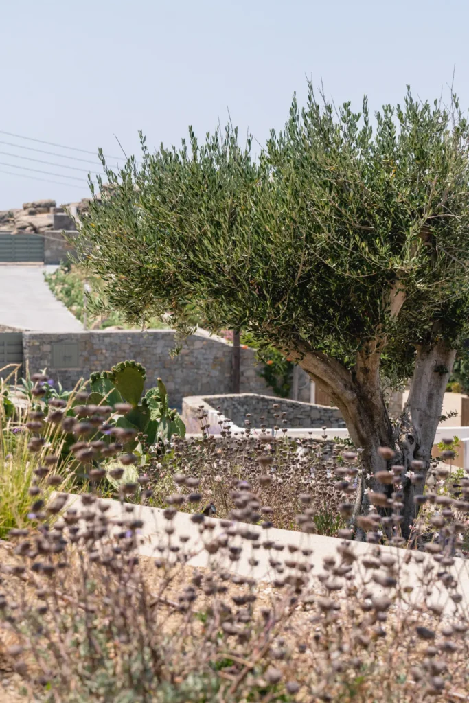 Villa_Ble_Mykonos_051