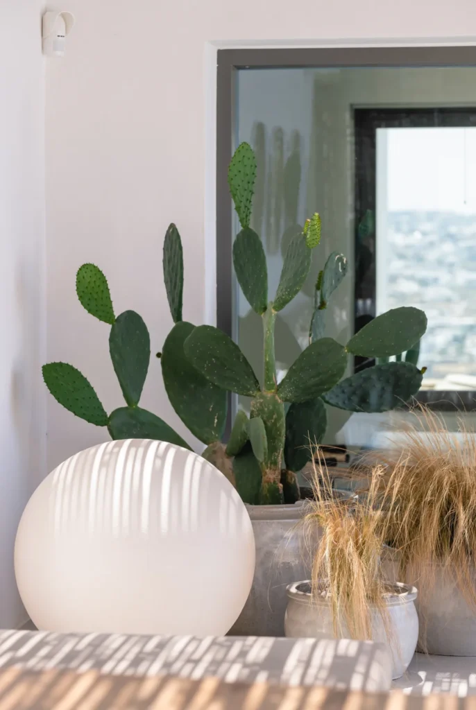 Villa_Ble_Mykonos_085