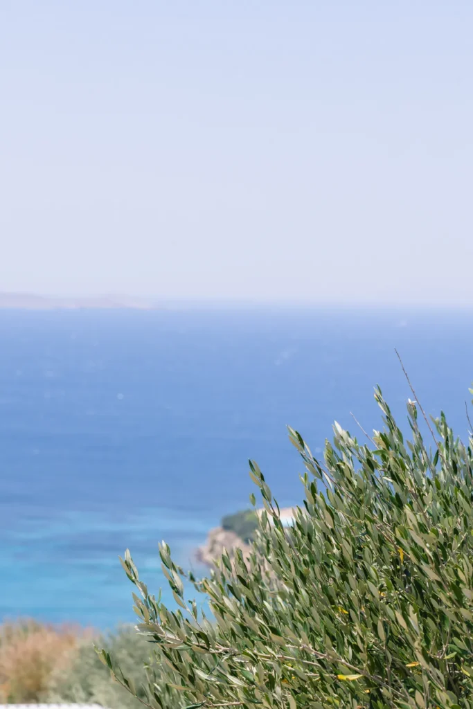 Villa_Ble_Mykonos_098