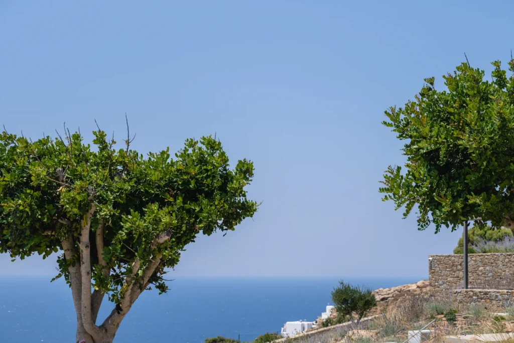 Villa_Ble_Mykonos_108